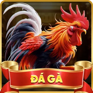 Cá cược Đá Gà Ku App