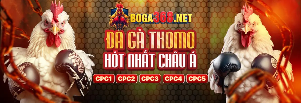 Sân đấu đá gà trực tuyến sôi động tại Ku App 2026