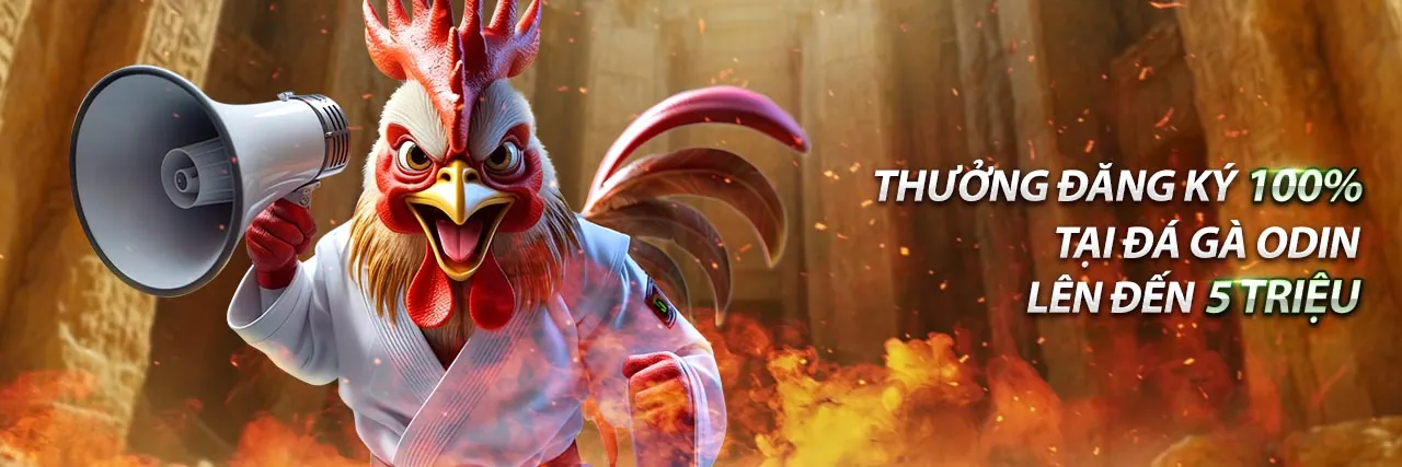 Trận đấu đá gà kịch tính và vé số may mắn, đại diện cho game đá gà và xổ số