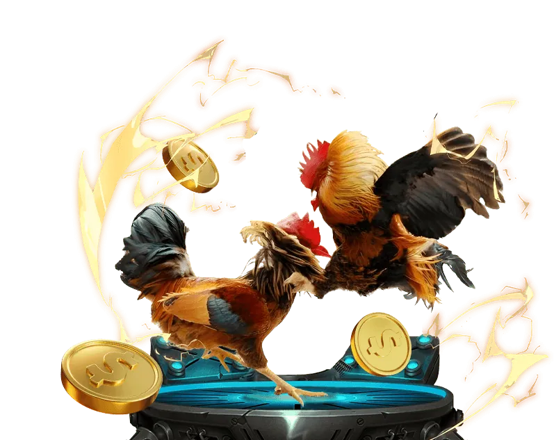 Cá cược Đá gà trực tuyến HI88